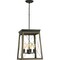 Progress Lighting Briarwood Collection Four-Light Foyer P500178-020 - alternate 3